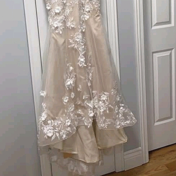 Stunning custom champagne & ivory gown with lace - Picture 2 of 16